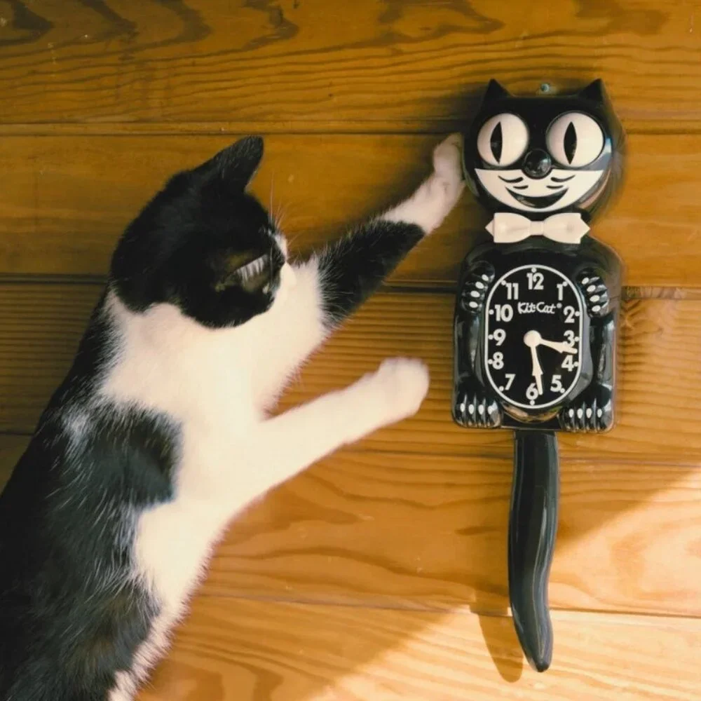 Classic Black Kit-Cat Klock 15.5
